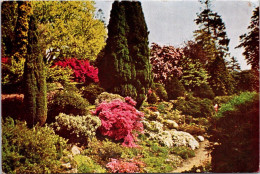 30-11-2023 (3 V 46) UK (posted To Australia 1971 ) Rock Garden In Horsham - Arbres