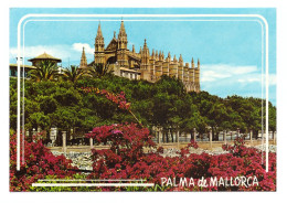 ESPAÑA • PALMA DE MALLORCA • LA CATEDRAL DESDE EL DESEMBARCADERO - Palma De Mallorca