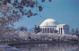 AK 183213 USA - Washington D.C. - Thomas Jefferson Memorial - Washington DC