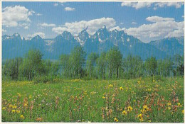 AK 183228 USA - Wyoming - Grand Teton And Teton Range - Sonstige & Ohne Zuordnung