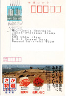 72716 - Japan - 1990 - ¥41 Reklame-GAKte "Rindfleisch & Erdbeeren Aus Saga" TOSHIMA -> Sagamihara - Alimentation