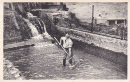 Comblain Au Pont Pisciculture Du Moulin - Comblain-au-Pont