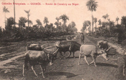 Colonies Françaises - Guinée Française - Troupeau De Vaches Sur La Route De Conakry Au Niger - Guinée Française