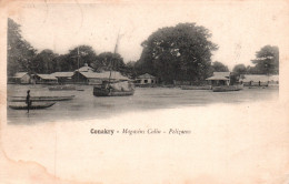 Afrique Occidentale - Guinée Française - Conakry, Magasins Colin, Pelizaeus - Carte Dos Simple - Guinea Francesa