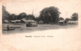 Afrique Occidentale - Guinée Française - Conakry, Magasins Colin, Pelizaeus - Carte Dos Simple - French Guinea