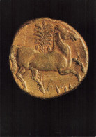 CPM Monnaie Carthaginoise IIIe Siècle Avant J.C. , Or , Cheval Au Palmier . Bibliothèque Nationale - Münzen (Abb.)