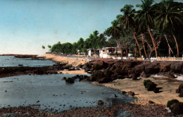Afrique Occidentale - Guinée Française - Africolor Conakry, La Corniche - Carte Africaine N° 669 Non Circulée - Guinea Francese