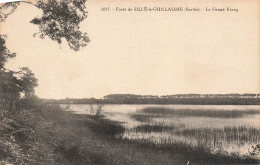 FRANCE - Forêt De Sillé-le-Guillaume - Le Grand étang - Carte Postale Ancienne - Sille Le Guillaume