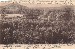 MONDE - La Forêt Et Le Guichot - Carte Postale Ancienne - World