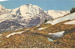 SUISSE - Wengen - Jungfrau - Montagnes  - Cartes Postales - Wengen