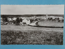 Bailièvre Panorama Vue Du Sud - Chimay