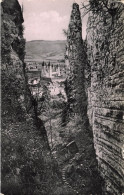 LUXEMBOURG - Echternach - Petite Suisse Luxembourgeoise - Gorge Du Loup, Vue Sur Echternach - Carte Postale Ancienne - Echternach