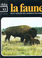 LA FAUNE Vie Et Moeurs ANIMAUX SAUVAGES N° 53 Le Bison , Ancètres , Chasse , Troupeau , Naissances - Animales