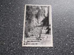 LINKEBEEK: Escalier Du Centenaire - Linkebeek