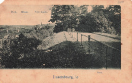 LUXEMBOURG - Luxembourg Ville - Le Parc - Ville Haute - Carte Postale Ancienne - Luxembourg - Ville