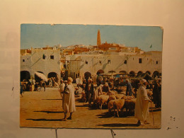 Ghardaïa - La Place Du Marché - Ghardaia