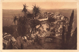 MONACO - Le Rocher De Monaco - Vu Des Jardins Exotiques - Carte Postale Ancienne - Autres & Non Classés