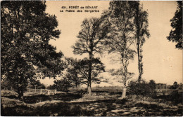 CPA Foret De Senart La Plaine Des Bergeries FRANCE (1371266) - Sénart