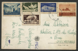 01007*BULGARIA*STALINE*LA PLAGE*REAL PHOTO*COLORFUL STAMPS*1956 - Covers & Documents