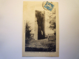 2023 - 3337  VOUILLE-LA-BATAILLE  (Vienne)  :  Ruines De L'ancien Château Féodal   1925   XXX - Vouille