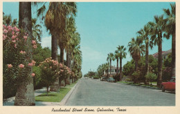 Residential Street Scene, Galveston, Texas - Galveston