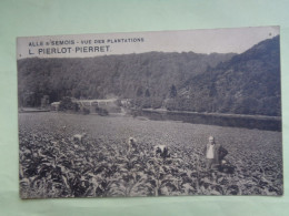 101-13-321              ALLE-SUR-SEMOIS   L. PIERLOT Pierret  Vue Des Plantations - Vresse-sur-Semois