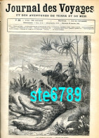 Journal Des Voyages 1878  N° 28  Chasse Girafes , Ville Marseille , Carte Bouches Du Rhone , Armes Peaux Rouges - 1850 - 1899
