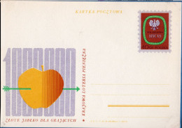 Polska, Poland 1969 Lottery, Appel, Postkarte Pol 69.446 - Monumenti