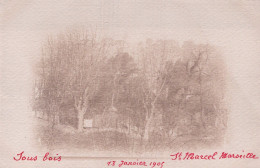 13 / MARSEILLE / SAINT MARCEL / CARTE PHOTO / SOUS BOIS 1905 - Saint Marcel, La Barasse, Saint Menet