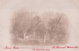 13 / MARSEILLE / SAINT MARCEL / CARTE PHOTO / SOUS BOIS 1905 - Saint Marcel, La Barasse, St Menet