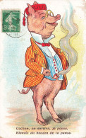 ILLUSTRATEUR - Un Cochon Appréciant Sa Pipe - Colorisé - Carte Postale Ancienne - Andere & Zonder Classificatie