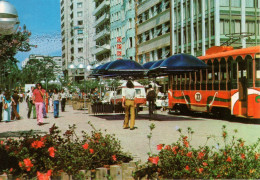 BRASIL - CURITIBA - Avenida Luiz Xavier - Curitiba