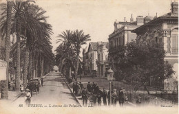 Hyères * L'avenue Des Palmiers * Villas - Hyeres