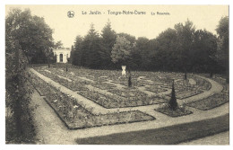 Belgique  -    Tongres  Notre Dame   - Le Jardin - La Roseraie - Chièvres