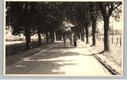 5350 EUSKIRCHEN, Billiger Wald, Panzerstrasse (Georgstrasse), Photo-AK, 1945 - Euskirchen