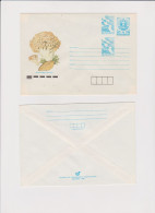 1990 ERROR - Mushrooms Double Tax Mark  Stationery Entier Ganzsachen  Bulgaria /Bulgarie - Sobres