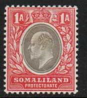Somaliland Protectorate 1903 KEVII 1 Anna Value, Hinged Mint, 2 Fox Marks, SG 33 (BA2) - Somaliland (Protettorato ...-1959)