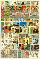 Z063 Animals Thematic Stamps Collection - Collections (sans Albums)