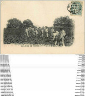 37 METTRAY. Travaux Agricoles à La Colonie Pénitentiaire 1905 - Mettray