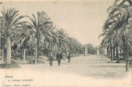 52867. Postal CADIZ, Vista Del Parque Genoves, Animada - Cádiz