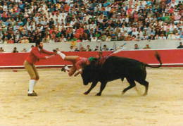 Santarem - Corrida De Touros - Pega - Santarem