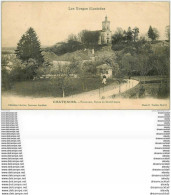 88 CHATENOIS. Route De Neufchäteau Avec Jardinière 1906 - Chatenois