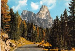 Cartolina Cimon Della Pala Dolomiti Una Strada Di Montagna 1980 (Trento) - Trento