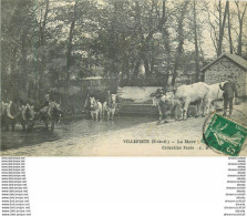 93 VILLEPINTE. Boeufs Et Chevaux à La Mare - Villepinte