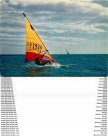 Photo Cpsm SPORTS. La Planche à Voile 1981 - Ski Nautique