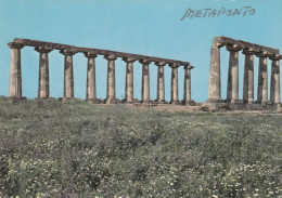 N3908 Bernalda (Matera) - Metaponto - Tempio Delle Tavole Palatine - Archéologie Archeologia Archeology / Non Viaggiata - Other & Unclassified