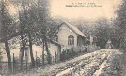 Chaville         92        Restaurant Et Fontaine  De L'Ursine,  N° 8       (Voir Scan) - Chaville