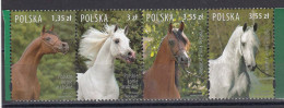 Poland 2007 - Horses, Mi-Nr. 4323/26, MNH** - Nuevos