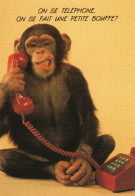 CPM - L - SINGE - ON SE TELEPHONE, ON SE FAIT UNE PETITE BOUFFE ? - Singes