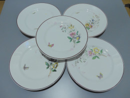 -5 ASSIETTES PLATES CERAMIQUE LONGWY Décor De Fleurs Papillons Insectes     E - Longwy (FRA)